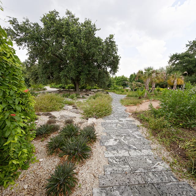 Houston Botanic Garden Path